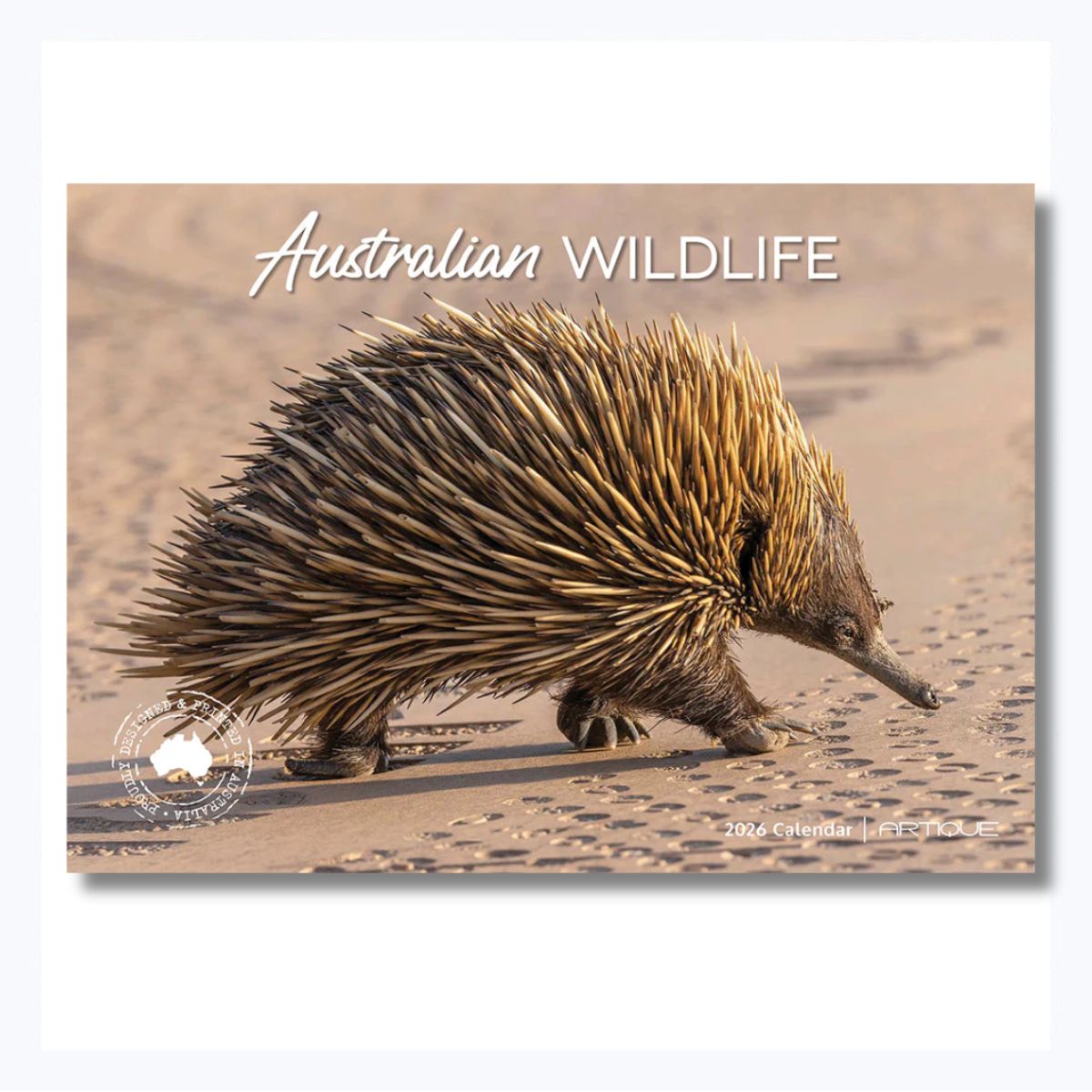 Calendar cover featuring an echidna with 'Australian Wildlife' text on a beige background