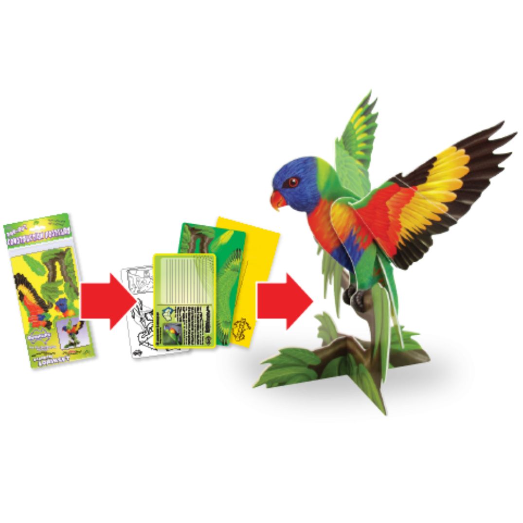 postcard construction rainbow lorikeet