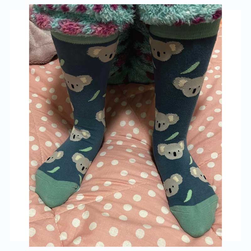 koala socks for kids australia