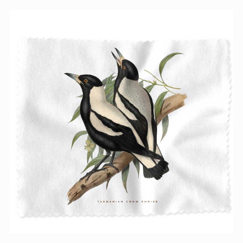 lens-cloth-crow