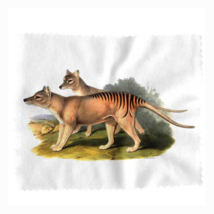 lens-cloth-john-gould-tasmanian-tiger