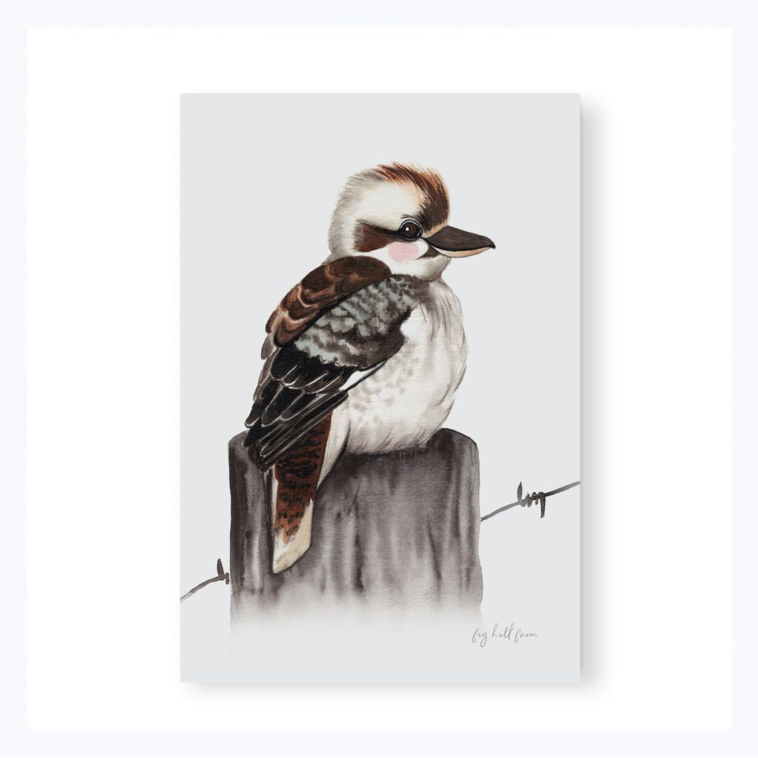 magnet_kookaburra_fig_hill_farm