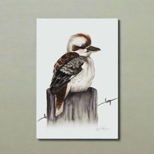 magnet kookaburra fig hill farm