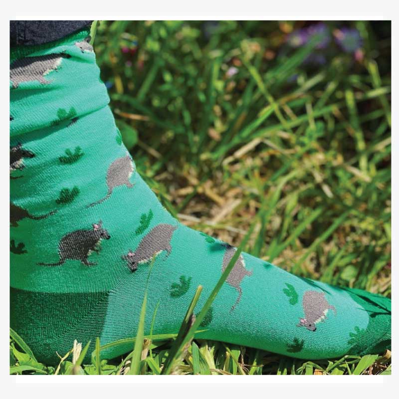 australian womens socks pademelon