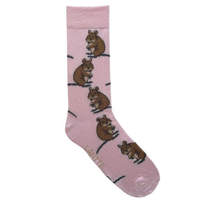 socks quokka australian made