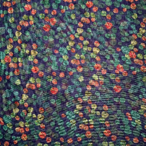 scarf fagus australia