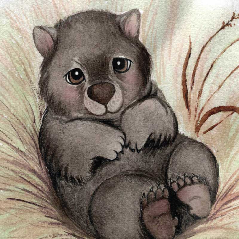 screen-wipe-wombat-australia
