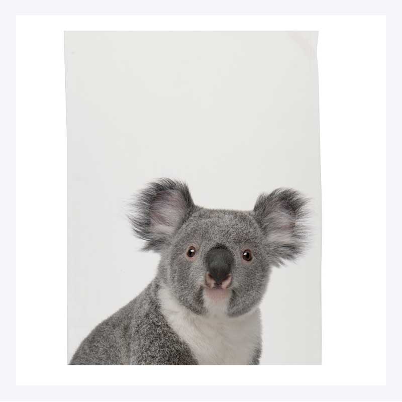 Koala-Microfibre-Tea-Towel