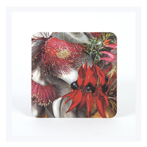 Sturt-Desert-Pea-and-Flowering-Gum-Coaster