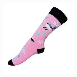 australian socks fairy wren