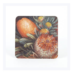 banksia-coasters-australian-wildflower