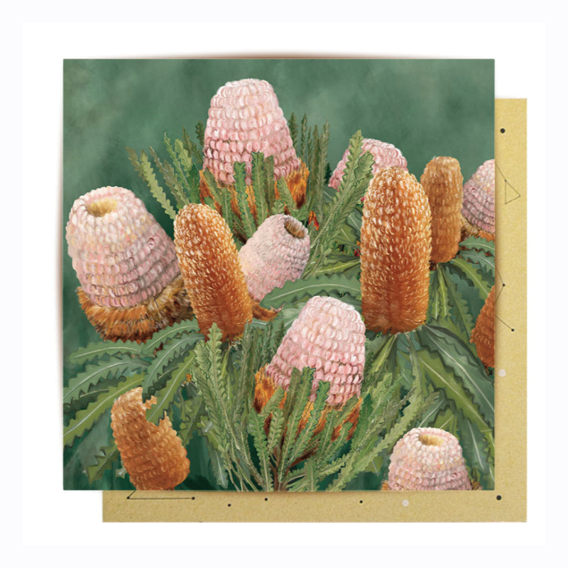 Australian greeting card - Coastal Banksias