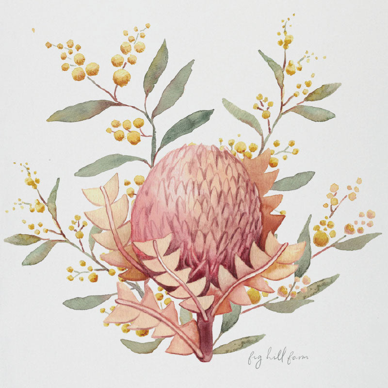 tea towel banksia wattle
