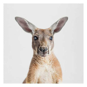 kangaroo-tea-towel-organic-close-up