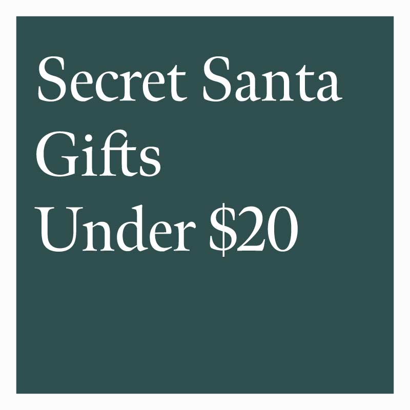 Secret Santa Gifts Under $20