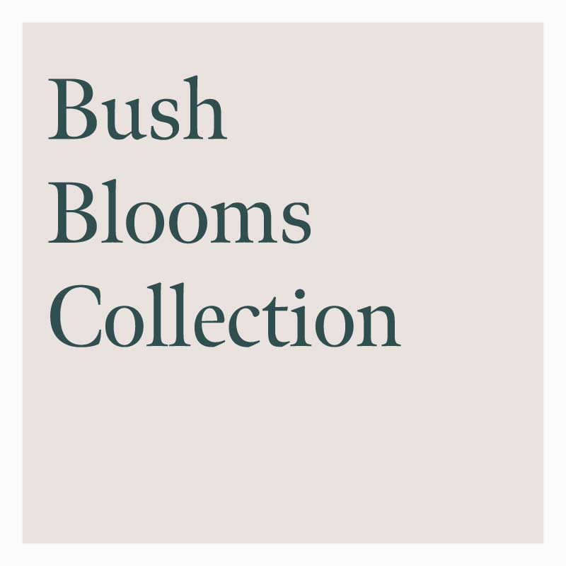 Bush Blooms - La La Land Collection