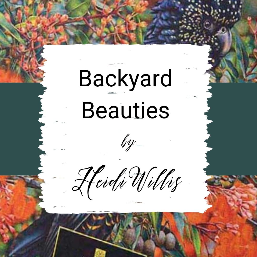 Backyard Beauties Collection