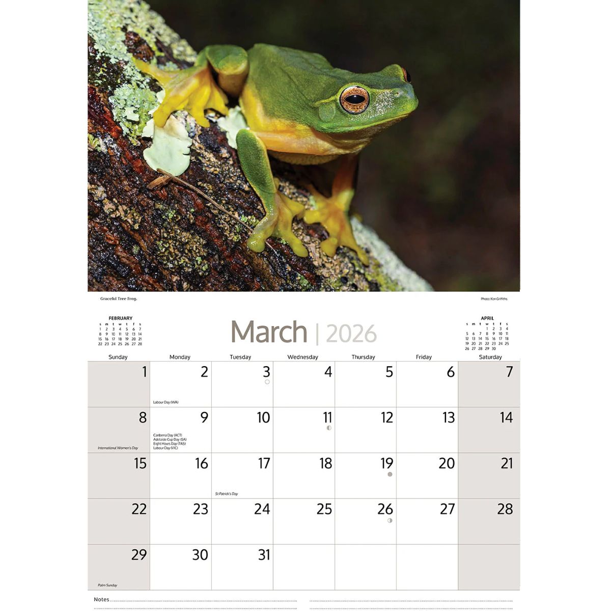 2026 Australian Wildlife calendar with various animals and a green tree frog