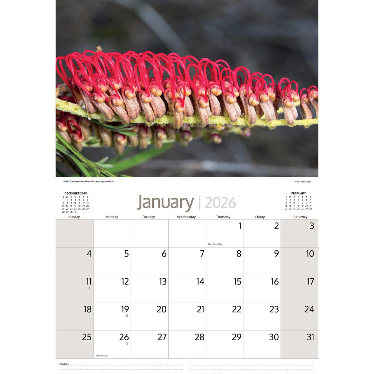 calendar 2026 Australian flowers