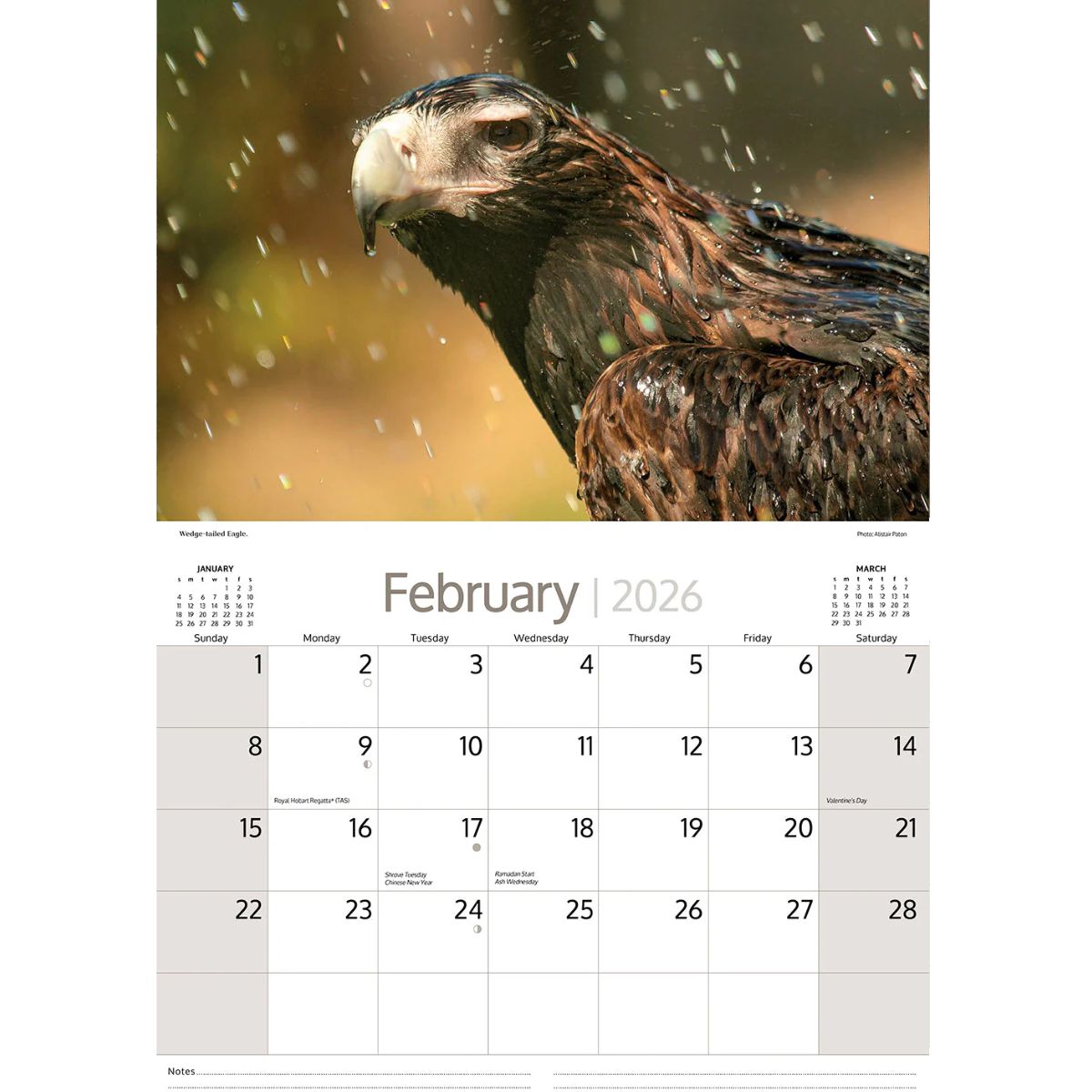 Calendar page for February 2026 featuring an eagle in a natural setting.