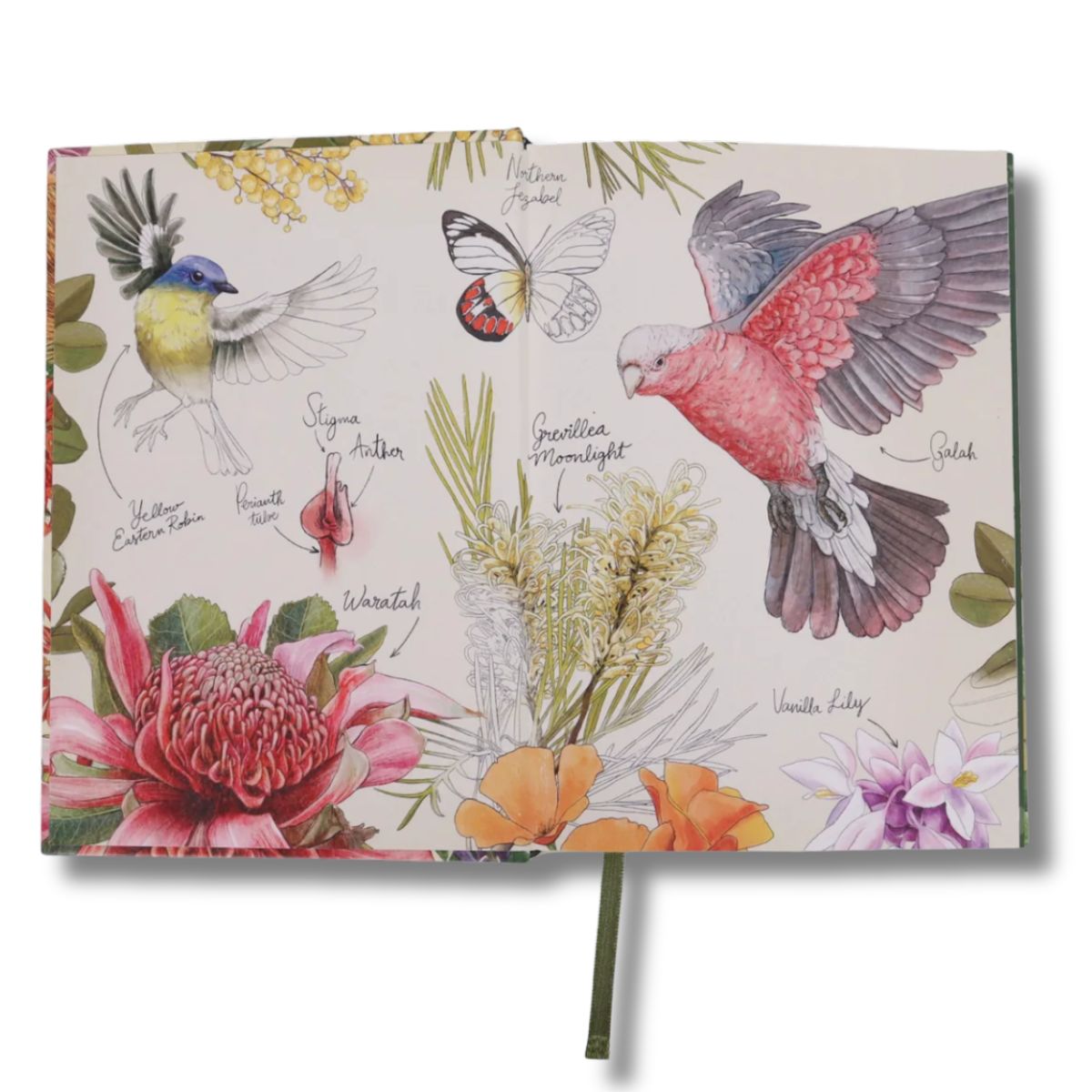 La La Land Diary 2026 (Hardback A5)