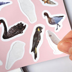 Australian Birds Sticker Sheet