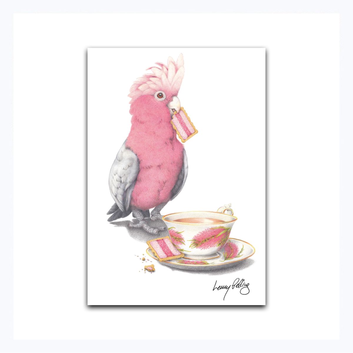 magnet galah iced vovo