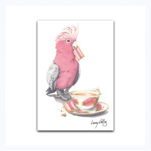 magnet galah iced vovo