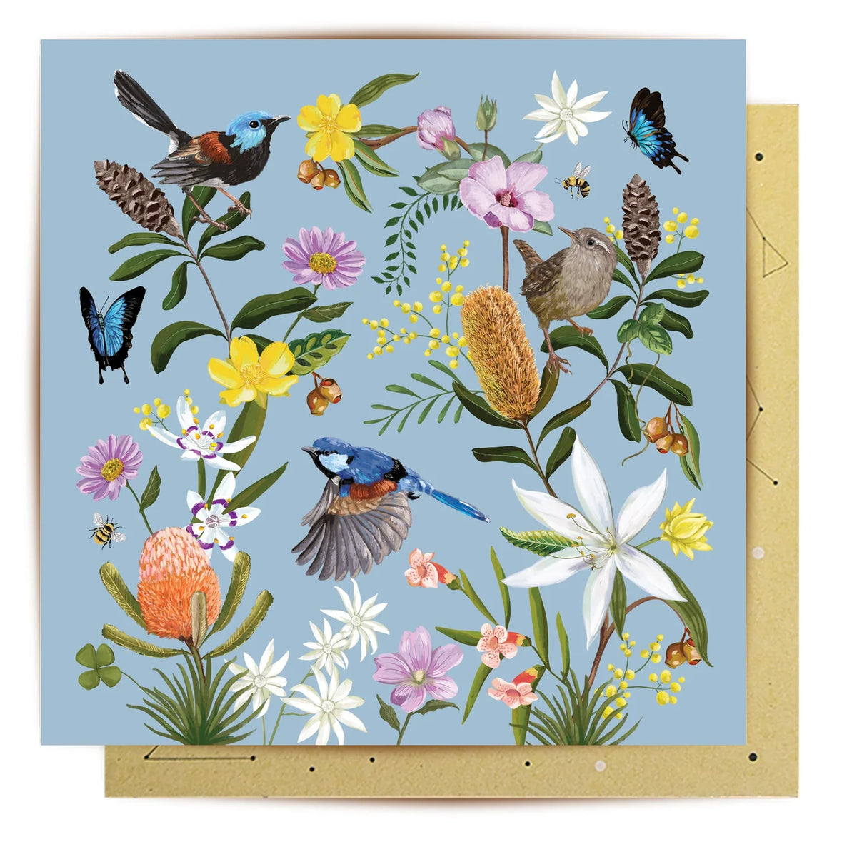 Backcountry-greeting-card