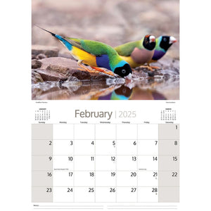 Calendard 2025 Australian Birds