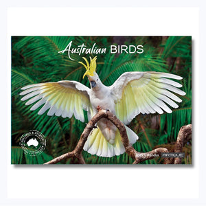 Calendard 2025 Australian Birds