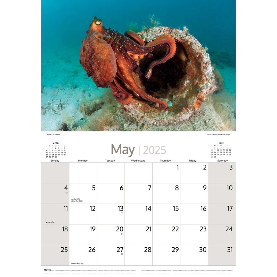 Australian Calendar 2025 - Australian Marine Life - I Still Call Australia Home australian-calendar-2025-australian-marine-life-i-still-call-australia-home