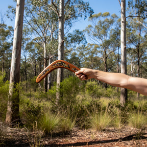 Boomerang-about-to-be-thrown