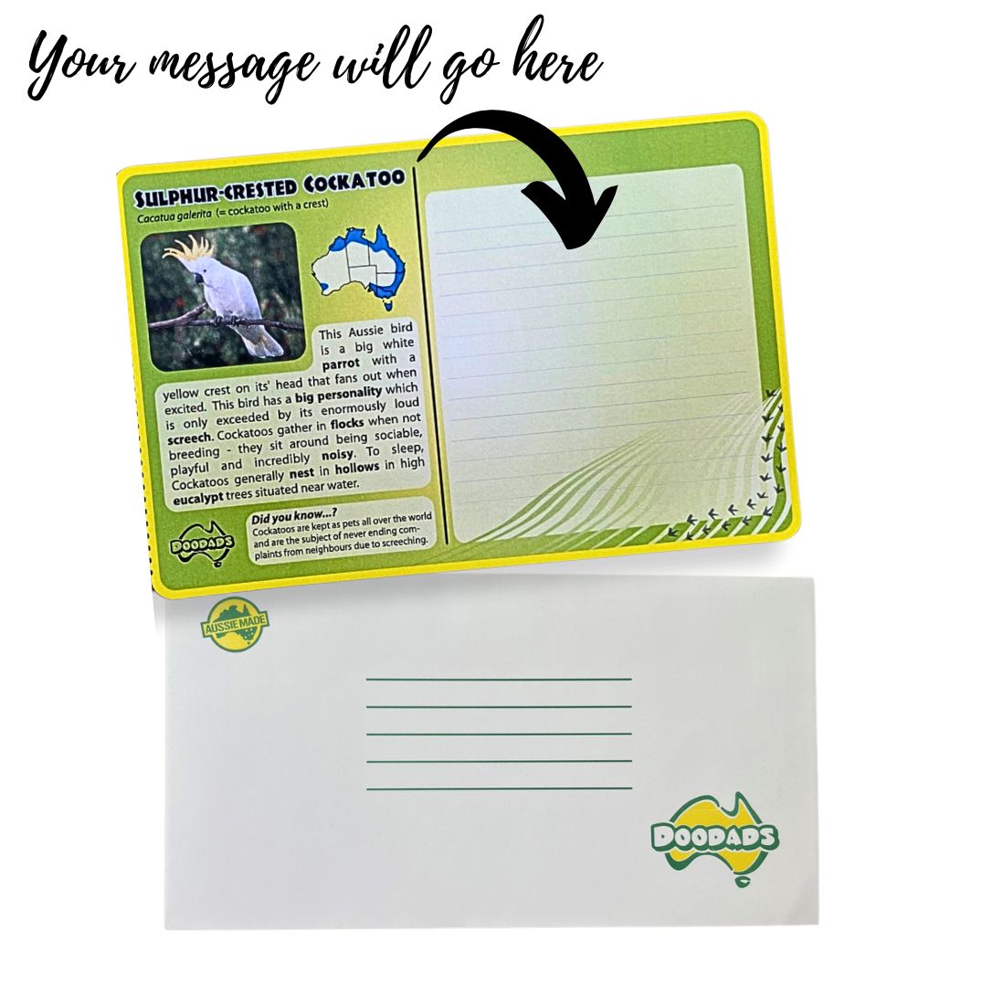 postcard construction cockatoo