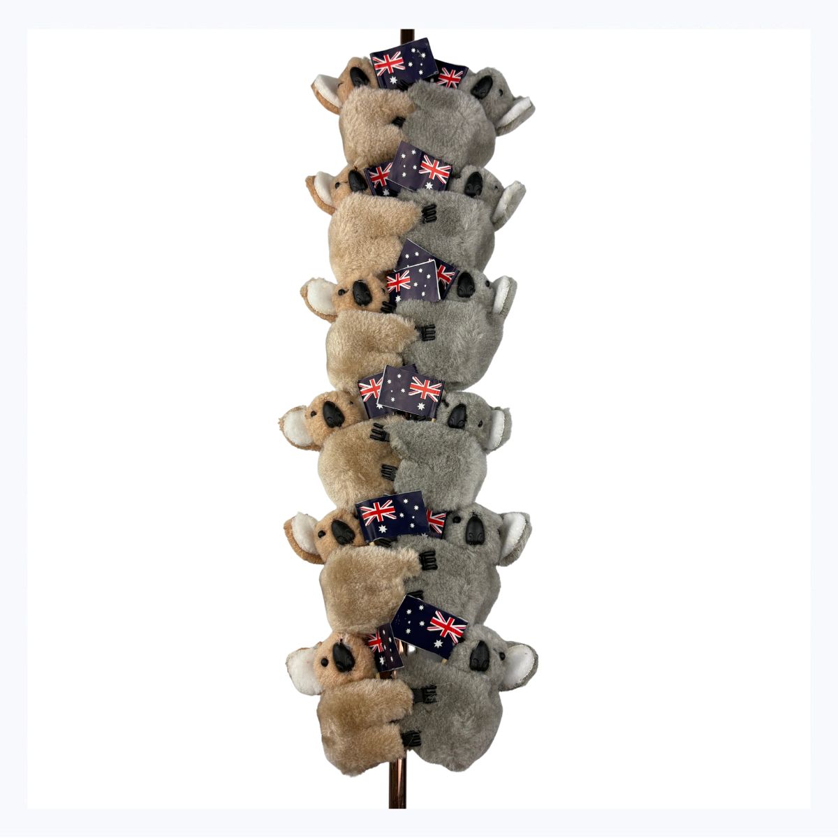 Koala-clips-each-with-australian-flag