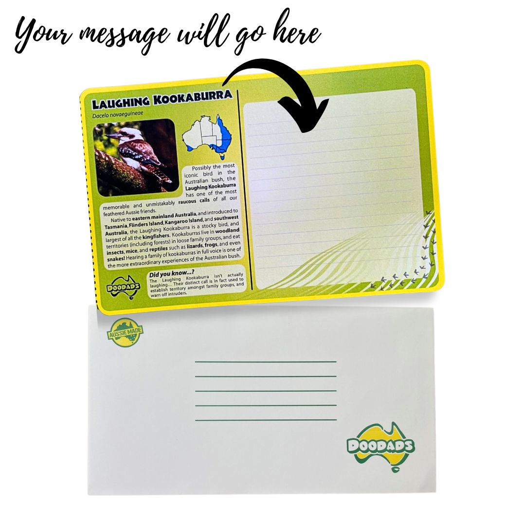 postcard kookaburra construction