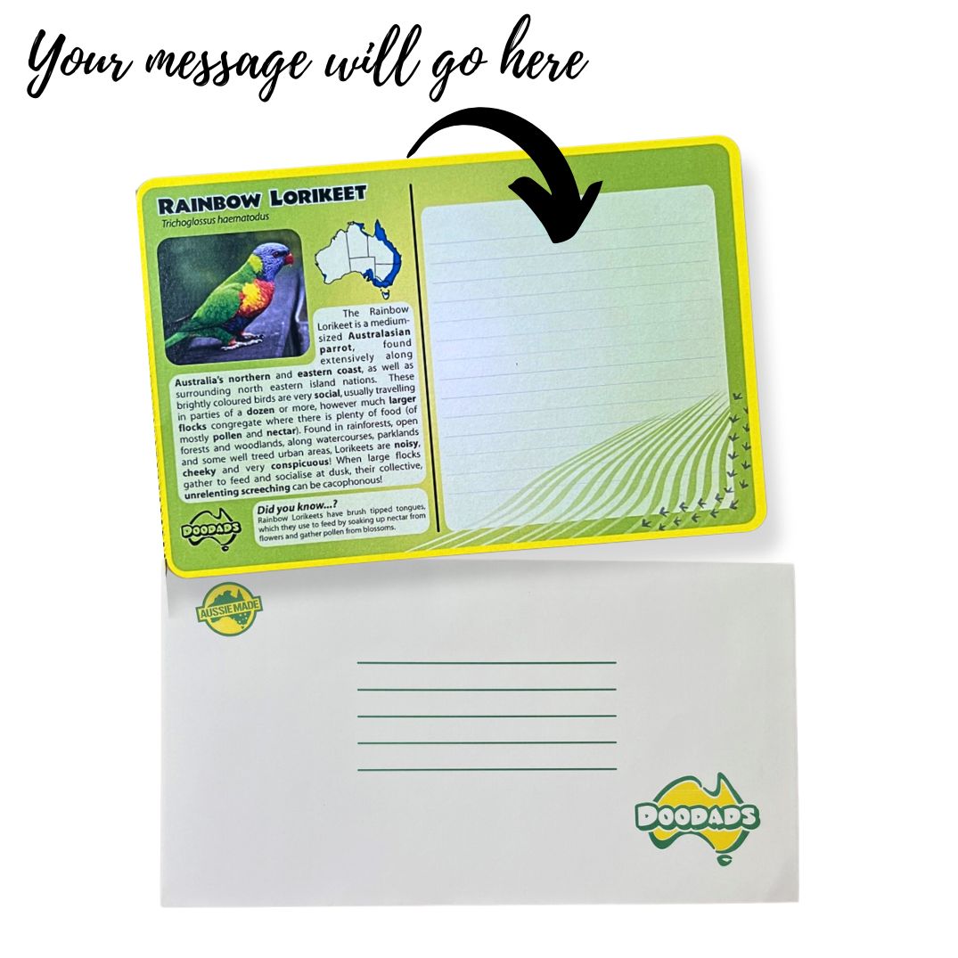 postcard construction rainbow lorikeet