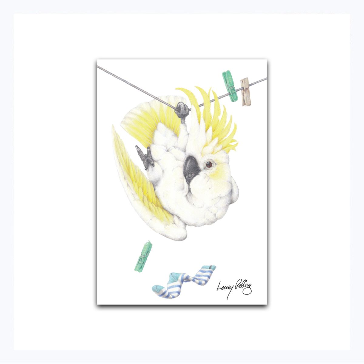 Cockatoo-hanging-updside-down-from-clothes-line