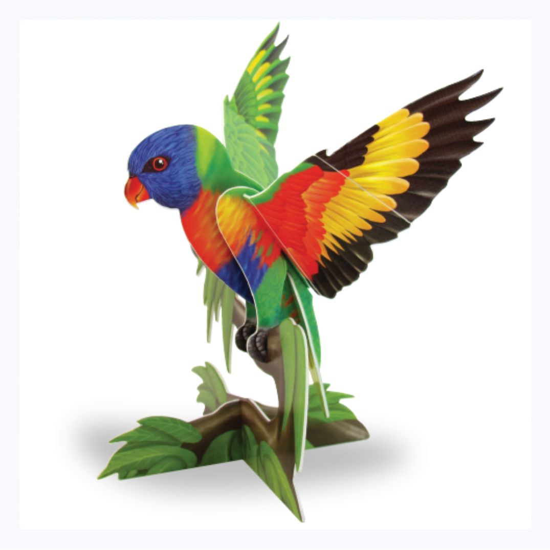postcard construction rainbow lorikeet