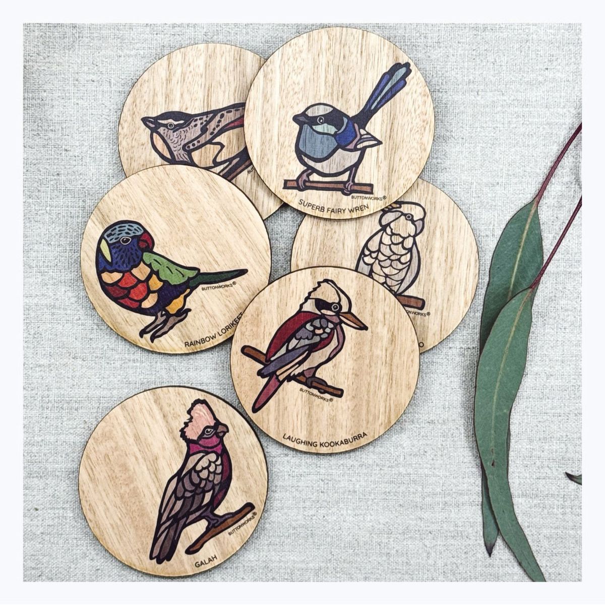 Tasmanian-Oak-Australian-Bird-Coasters
