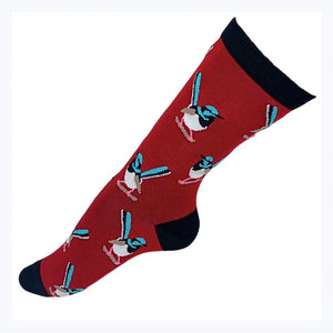 socks fairy wren red australia