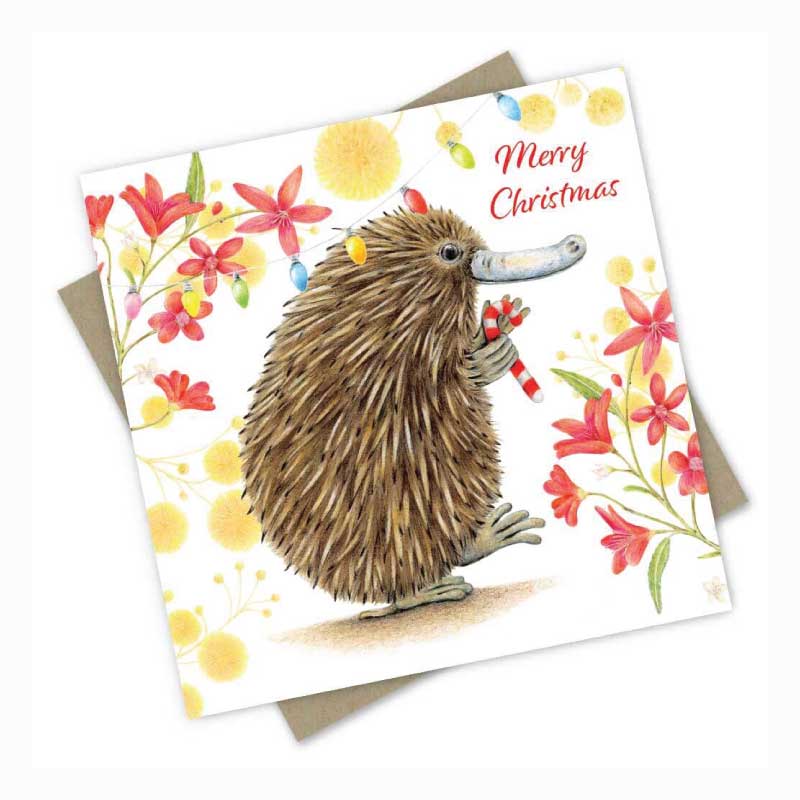 austrailan-xmas-card-boxed-set