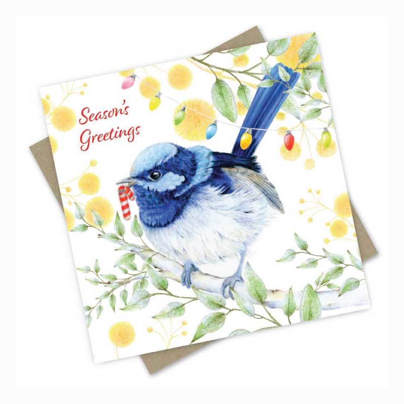 austrailan-xmas-card-boxed-set