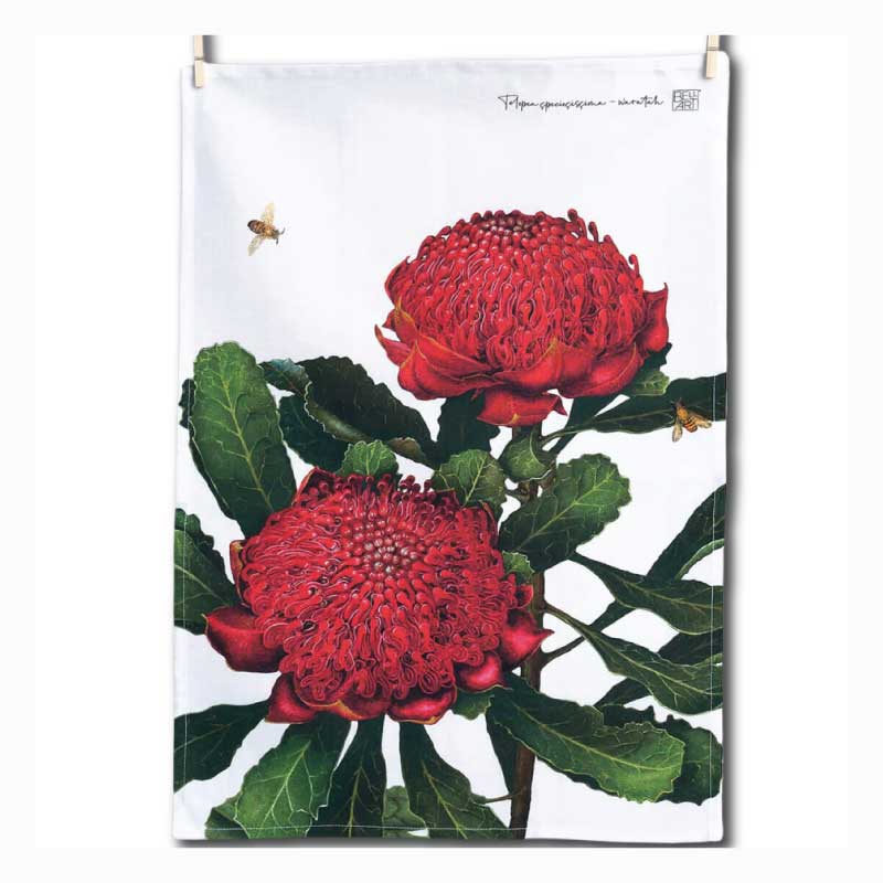 australian-art-tea-towel-waratah