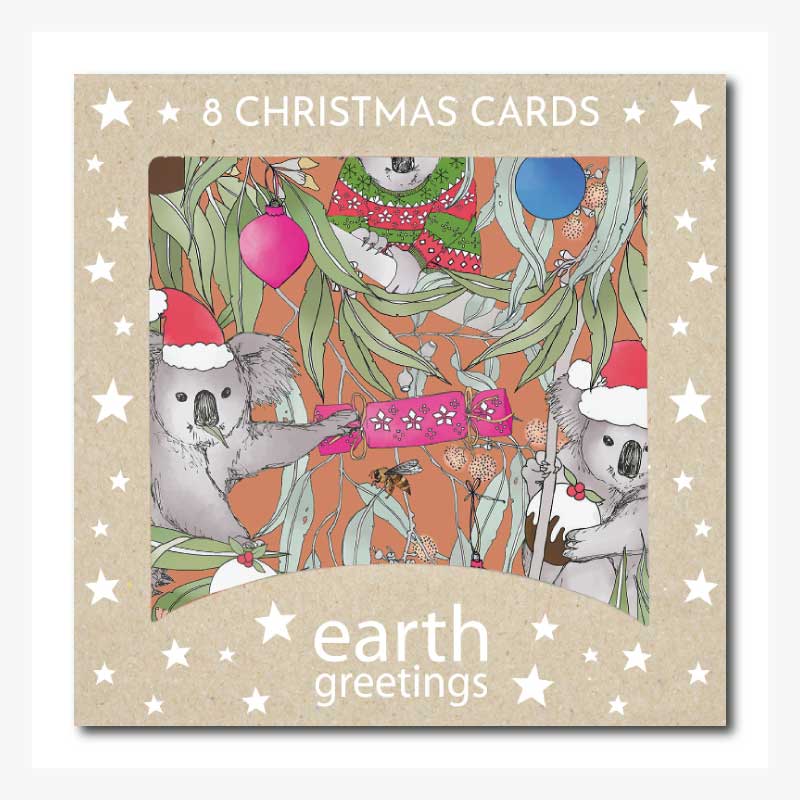 australian christmas card set magic pudding
