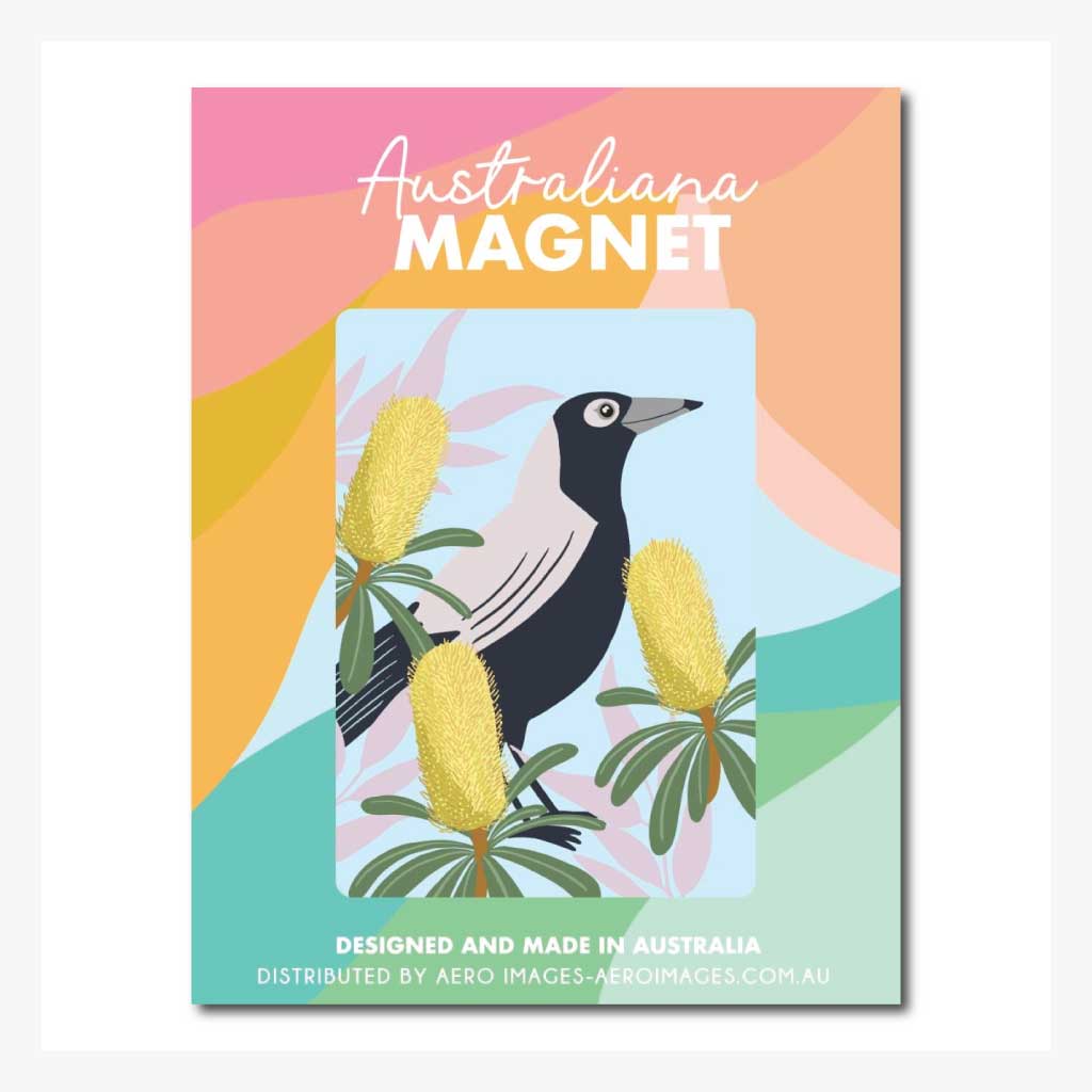 australian-magnet-magpie-and-banksia