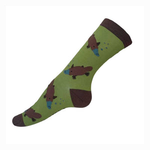 australian socks souvenir platypus