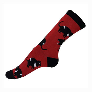 australian socks women tasmanian devil red