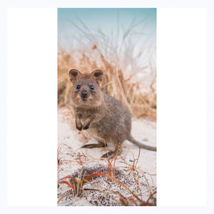 beach towel quokka smile