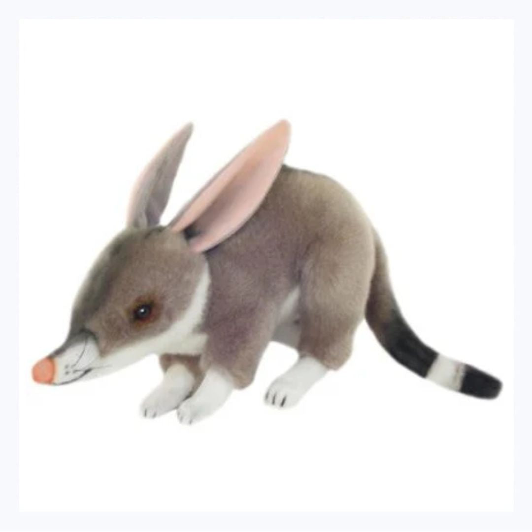 Bilby - Benny